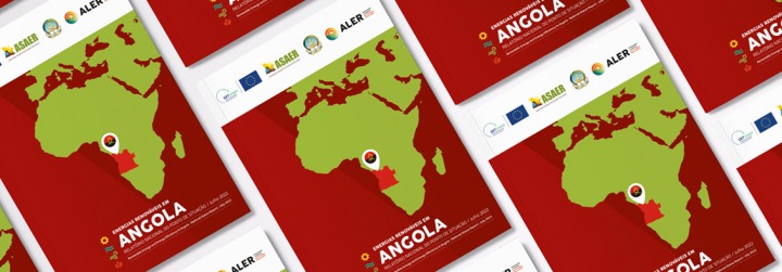 Relatório Nacional do Ponto de Situação de Energias Renováveis em Angola 2022